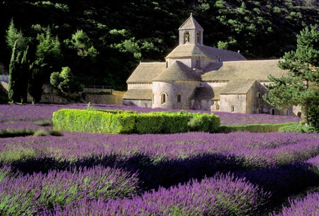 Villa Au Bastidon De Gordes Esterno foto